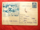 Carte Postala Ilustrata - Crescatorie Pasari de Rasa , circulat 1956, Circulata, Printata