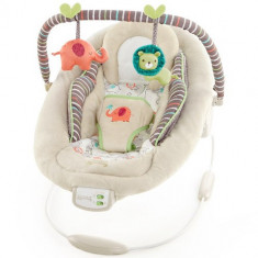 Comfort and Harmony Cradling Bouncer Cozy Kingdom foto