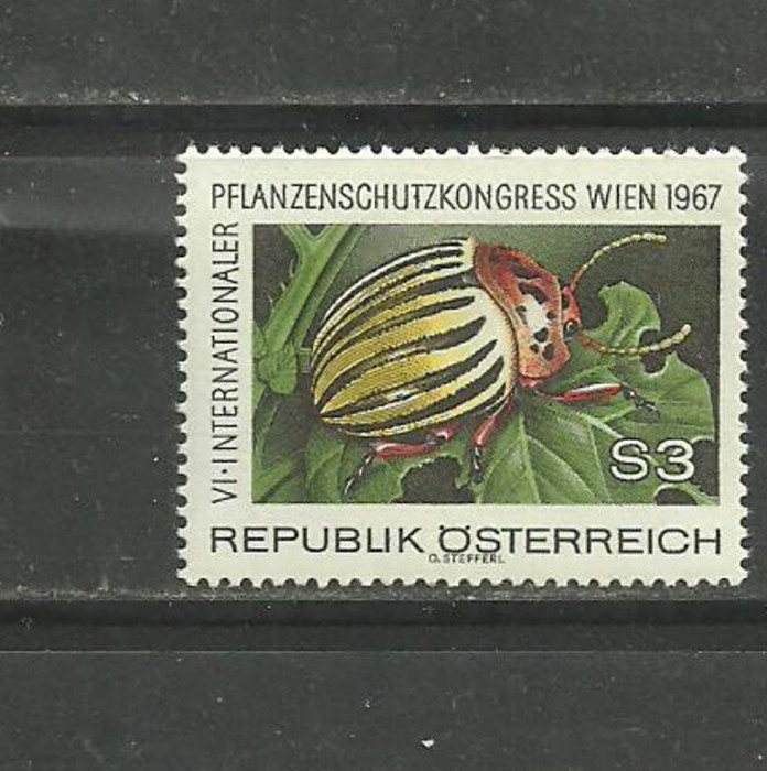 Austria 1967 &ndash; PROTEJAREA PLANTELOR, GANDACUL DE COLORADO , timbru MNH, B44