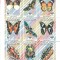 COMORE 1994 INSECTE SI FLUTURI