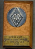 ATAM2001 MEDALIE 906-SPEOLOGIA STIINTA ARTA... RM VALCEA1983-starea care se vede