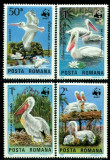 ROMANIA 1984 WWF PELICANI, Nestampilat