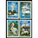 ROMANIA 1984 WWF PELICANI