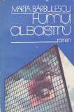 MARTA BARBULESCU - FUMUL ALBASTRU, 1990