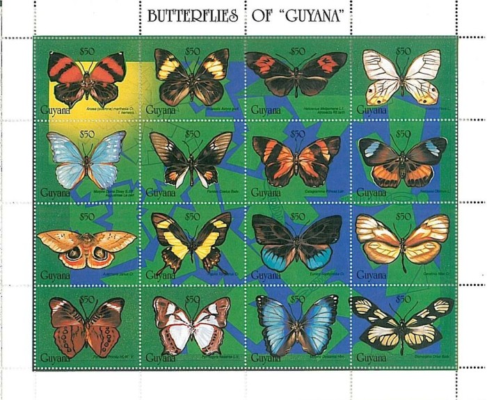 GUYANA 1994 FLUTURI