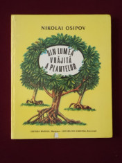 Nikolai Osipov - Din lumea vrajita a plantelor - 416063 foto