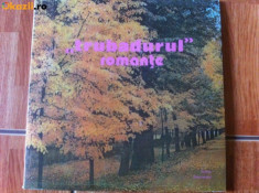 romante trubadurul disc vinyl lp electrecord muzica usoara populara romaneasca foto