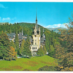 % carte postala(ilustrata)-SINAIA-Castelul Peles