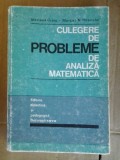 Culegere De Probleme De Analiza Matematica - Mariana Craiu, Marcel N. Rosculet