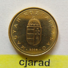 Moneda 1 Forint - UNGARIA 2006 *cod 1874 xF foto