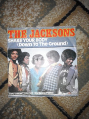 Vinyl - The Jakosn - Shake your body - Michael Jackson foto