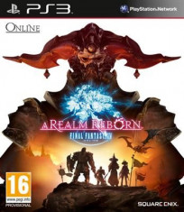 Final Fantasy Xiv A Realm Reborn Ps3 foto