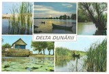 % carte postala(ilustrata)-DELTA DUNARII-colaj, Circulata, Printata