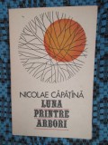 Nicolae CAPATINA - LUNA PRINTRE ARBORI. Versuri (prima editie - 1978 - CA NOUA!)