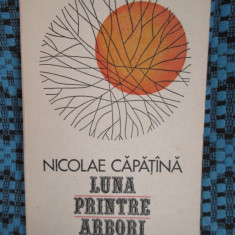 Nicolae CAPATINA - LUNA PRINTRE ARBORI. Versuri (prima editie - 1978 - CA NOUA!)