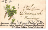 CPI (B5924) FELICITARE. TRIFOI SI POTCOAVA, VIENA 1932, Circulata, Printata