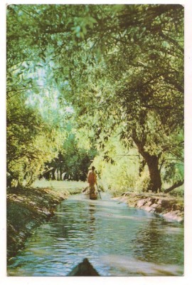 % carte postala(ilustrata)-DELTA DUNARII-vedere foto