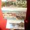Carnet cu 18 Ilustrate Oslo - Norvegia , format neconventional , pliant