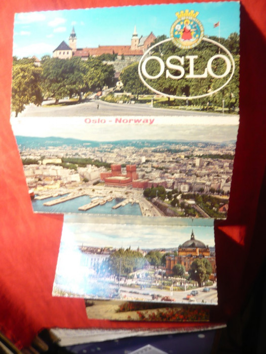 Carnet cu 18 Ilustrate Oslo - Norvegia , format neconventional , pliant