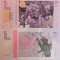 SV * UK / Marea Britanie 5 BRISTOL POUNDS 2015 UNC - bancnota regionala