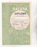 Bnk fil Diploma Expo fil Natura Timisoara 1988
