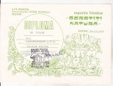 bnk fil Diploma Expo fil Ocrotiti natura Busteni 1986