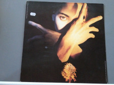 TERENCE TRENT D&amp;#039;ARBY - NEITHER FISH NOR...(1989 /CBS REC/ RFG) - VINIL/IMPECABIL foto