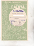 Bnk fil Diploma Expo fil Natura Timisoara 1988