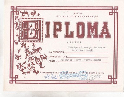 bnk fil Diploma Expo fil Primavara Tineretii Prahovene Ploiesti 1989 foto