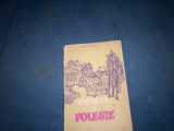UNDEVA IN POLESTE