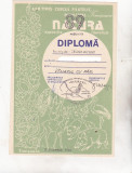 Bnk fil Diploma Expo fil Natura Timisoara 1989
