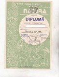 Bnk fil Diploma Expo fil Natura Timisoara 1989