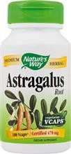 Astragalus 470mg Nature&amp;#039;s Way Secom 100cps Cod: 33674151808 foto