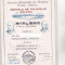 bnk fil Diploma Expositia de filatelie polara Ploiesti 1986