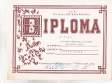 Bnk fil Diploma Expo fil Primavara Tineretii Prahovene Ploiesti 1989