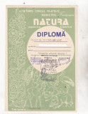 Bnk fil Diploma Expozitia filatelica Natura Timisoara 1994 (2)