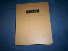 ATLAS DE ANATOMIA HUMANA(RUSA) VOLI, II de R.D.SINELNIKOV foto