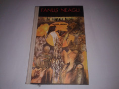 FANUS NEAGU - IN VAPAIA LUNII foto