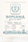 Bnk fil Diploma Expozitia filatelica Samaflam 81 Satu Mare