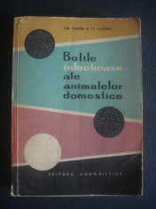 GH. DABIJA, O. LUCHIAN - BOLILE INFECTIOASE ALE ANIMALELOR DOMESTICE foto