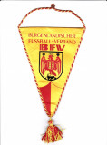 Fanion fotbal - Federatie Regionala din Austria
