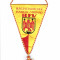 Fanion fotbal - Federatie Regionala din Austria