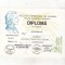 bnk fil Diploma Expozitia filatelica Eminesciana Botosani 1979