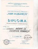 Bnk fil Diploma Expozitia filatelica Aripi romanesti Buzau 1986