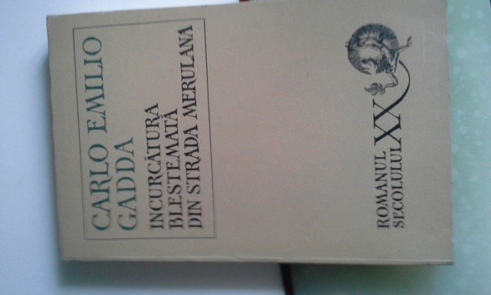 INCURCATURA BLESTEMATA DIN STRADA MERULANA DE CARLO E.GADDA INCURCATURA BLESTEMATA DIN STRADA MERULANA DE CARLO E.GADDA
