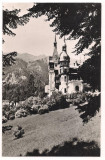 % carte postala-SINAIA-Muzeul Peles