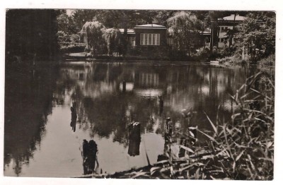 % carte postala-SOVATA-Lacul Negru foto