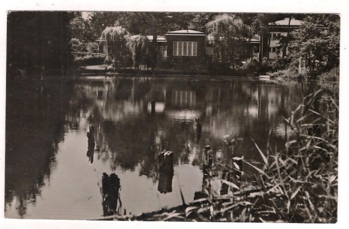 % carte postala-SOVATA-Lacul Negru