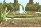 CPI (B5594) BACAU. PARCUL LIBERTATII, Necirculata, Fotografie