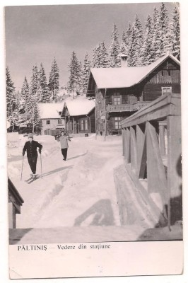 % carte postala-PALTINIS -VEDERE foto